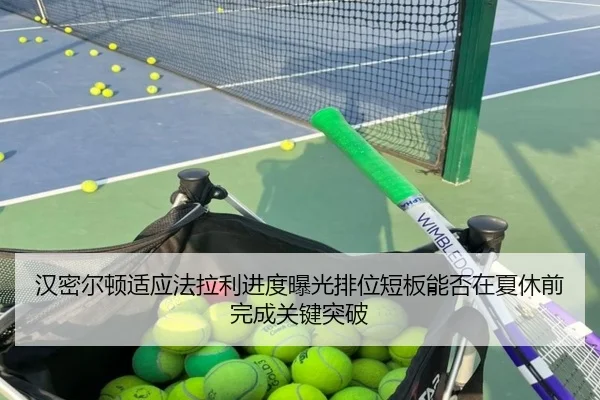 han-mi-er-dun-shi-ying-fa-la-li-jin-du-bao-guang-pai-wei-duan-ban-neng-fou-zai-xia-xiu-qian-wan-cheng-guan-jian-tu-po-2-394.jpg